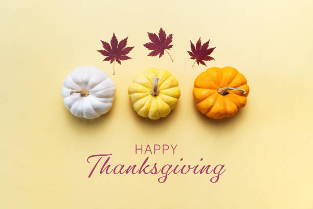 istock Happy Thanksgiving Day with pumpkin and nut on yellow background 1339271945