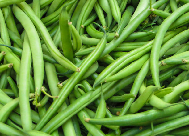 istock Green French Beans Close up 1339273111