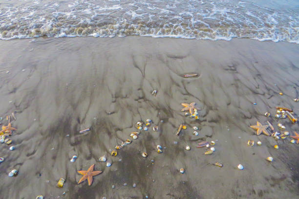 Holidays on Beach