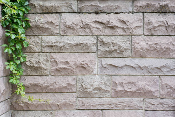 stone veneer garden wall with a leafy green plant hanging from its corner