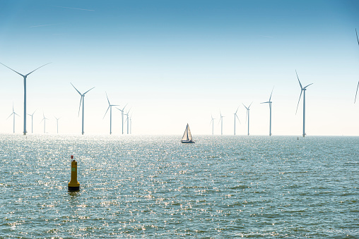 Wind turbine’s windmill farm in the lake IJsselmeer is the biggest in the Netherlands,Sustainable development, renewable energy Netherlands. One sailboat in view.