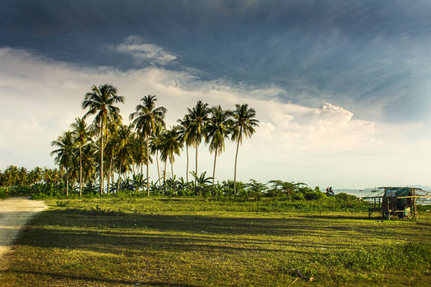 istock sunrise at the beach 1339277224