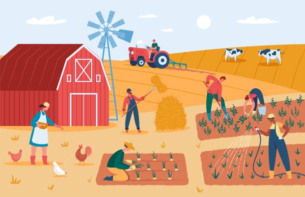 ilustrações, clipart, desenhos animados e ícones de agricultores que trabalham na fazenda, colhendo culturas, alimentando animais. fazendas rurais com celeiro, moinho de vento, jardim e ilustração vetorial de campo - produtor rural