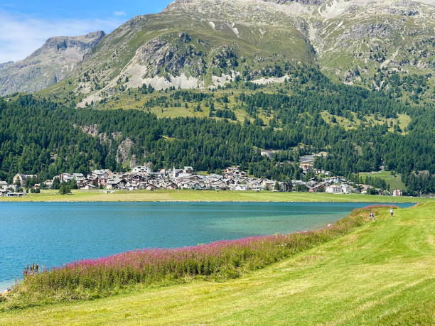 アッパーエンガディンの風景、シルバプラナ湖 - silvaplanersee ストックフォトと画像