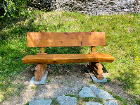 One bench in a green forest park. Landscape