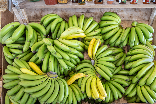 Fresh bananas at a market stall at the mercado is a marketplace under roof in the center of the city with public access. In several market stalls fresh food is sold – mostly fruit and vegetables but also fish and meat. It is local grown bananas and not industrial products. The picture is taken in Ponta Delgada at the Azorean island San Miguel in the middle of the North Atlantic
