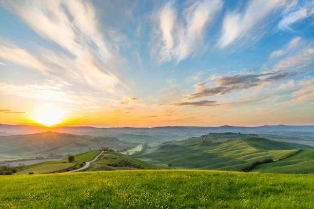 Sunrise on a meadow in a rural Italian landscape Sunrise on a meadow in a rural Italian landscape crete senesi photos stock pictures, royalty-free photos & images