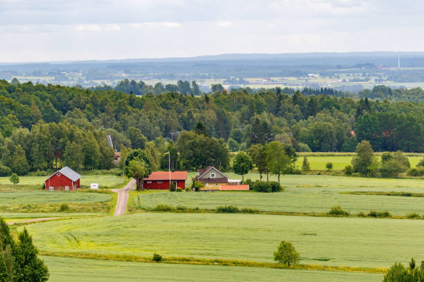 istock Rural landscape view with a farm on a field 1339281656