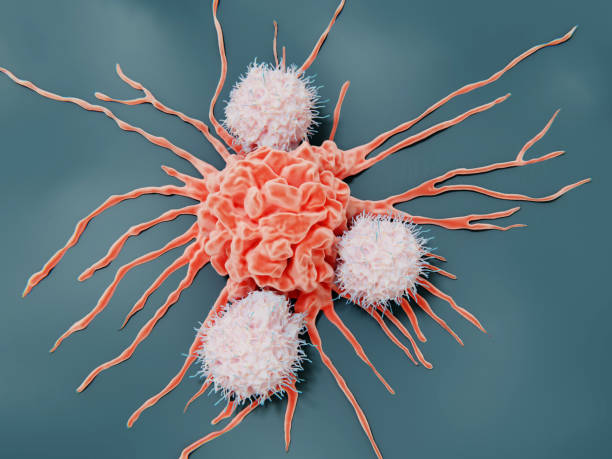 Natural killer cells attacking a cancer cell stock photo