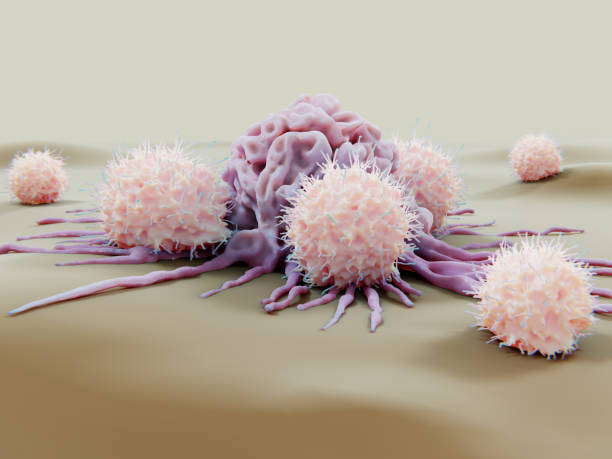 がん細胞を攻撃するナチュラルキラー細胞 - 免疫療法 ストックフォトと画像