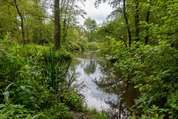 istock The fast-flowing river called 