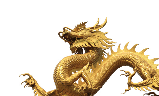 Chinese dragon on white background