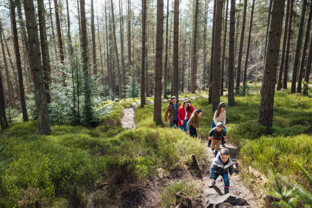 istock Following each other up the Foot Path 1339291839