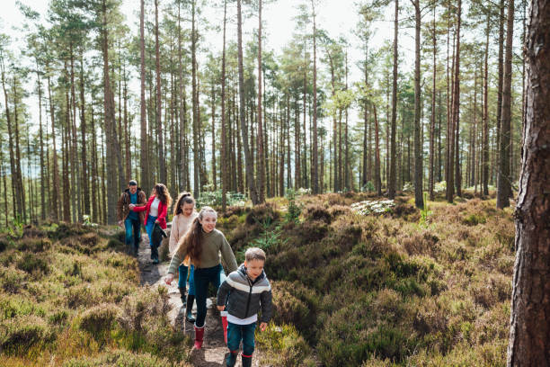 istock Exploring a Woodland Area 1339292615