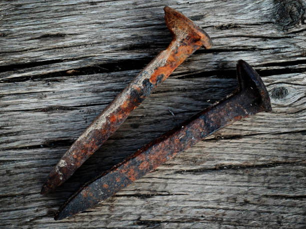 old rusted iron steel railroad spikes on wood surface - railroad spikes imagens e fotografias de stock