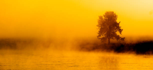 morgen sonnenaufgang mit bäumen und fluss unter blauem himmel und glühendem nebel - city of sunrise sunrise tree sky stock-fotos und bilder