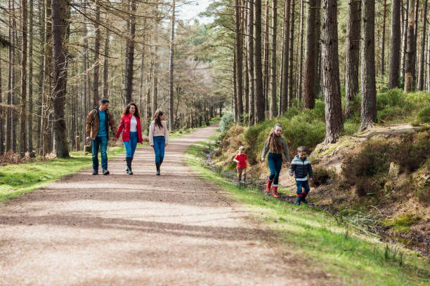 istock Family on a Walk Together 1339293130