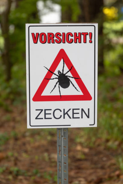 istock German word for 
