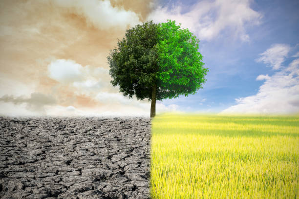 istock Climate change from drought to green growth 1339296232