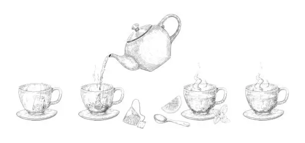 Vector illustration of Tea brewing steps. Hand drawn stages of drink making with kettle and mug. Green and black teabags. Lemon and mink leaves. Pour water into cups from teapot. Vector tableware sketches set