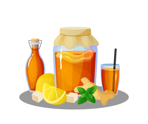 Kombucha drink. Cartoon jars and glasses with summer cold beverage of tea mushroom. Bottles and lemon pieces. Ginger or mint leaves. Natural refreshing product. Vector illustration Kombucha drink. Cartoon jars and glasses with summer cold beverage of organic tea mushroom. Isolated bottles and lemon pieces. Ginger or mint leaves. Natural refreshing product. Vector illustration kombucha jar stock illustrations
