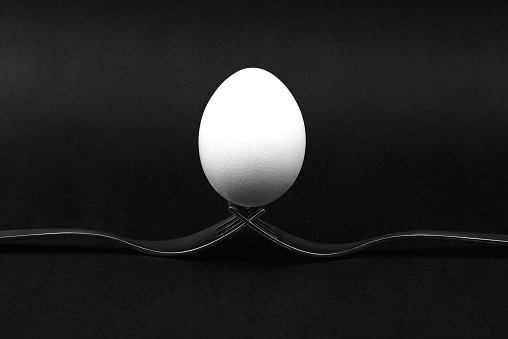 Egg On Black Background