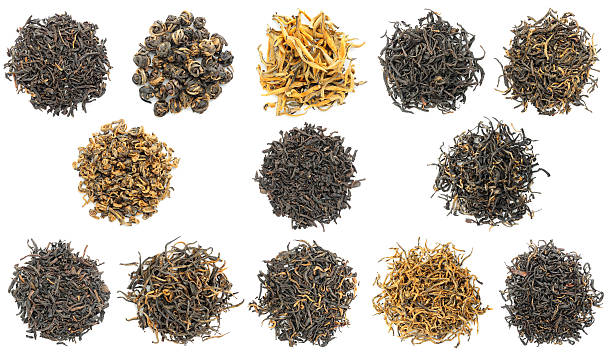 raccolta del più famoso nero cinese (alias rosso) tè - lapsang souchong tea foto e immagini stock