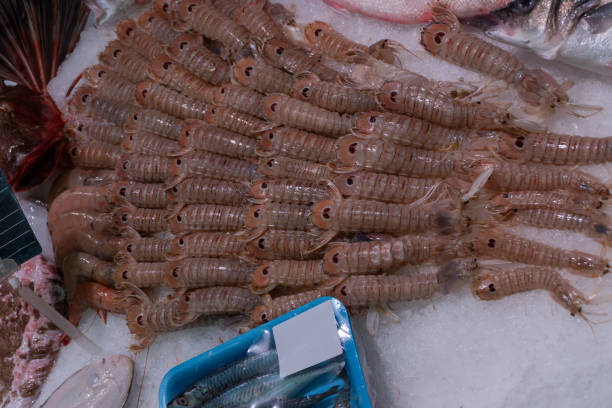 cangrejos de río congelados y camarones encima del hielo en el puesto del mercado - fossil fish animal full frame fotografías e imágenes de stock