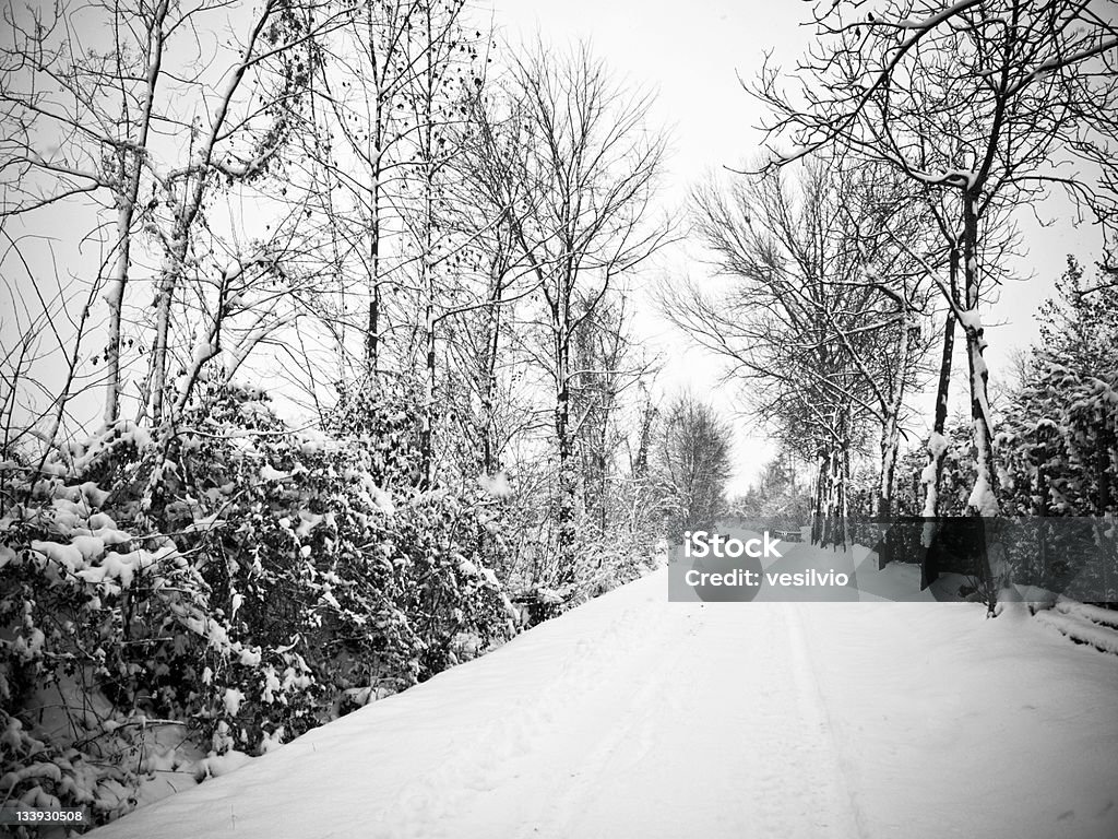 Rural de inverno - Foto de stock de Cena Não-urbana royalty-free