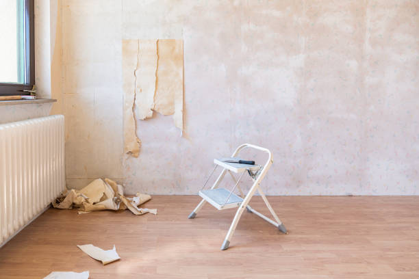 istock Home Renovation Project, Removing Wallpaper 1339308225
