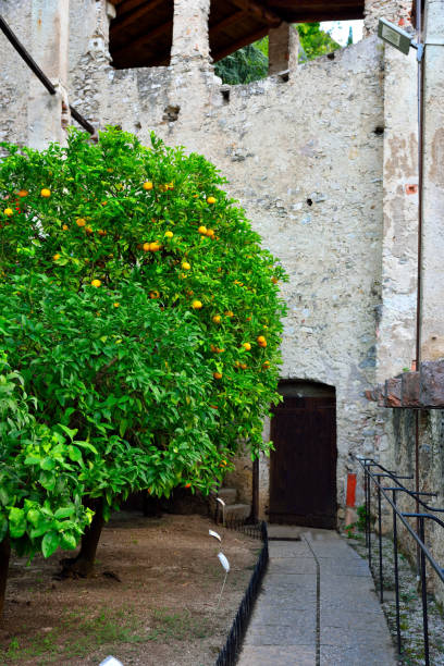 lemon house of the castel Limone sul Garda Brescia Italy