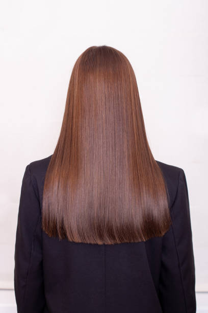 istock Female back with long straight brunette hair 1339309925