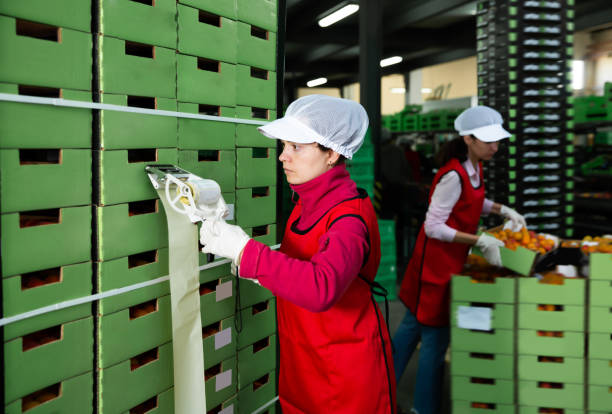 istock Young workwoman sticking labels on carton boxes 1339311592