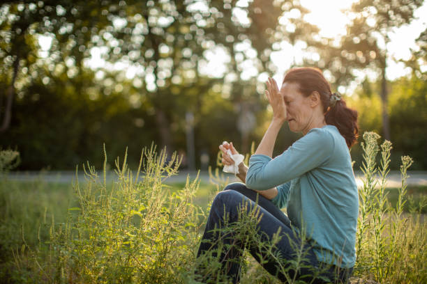 Woman sitting outdoors and suffering from pollen allergy One mature woman in nature among ragweed plant suffering because she has a problem with pollen allergy at summer. hayfever stock pictures, royalty-free photos & images