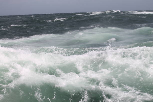 Waves in the Baltic Sea
