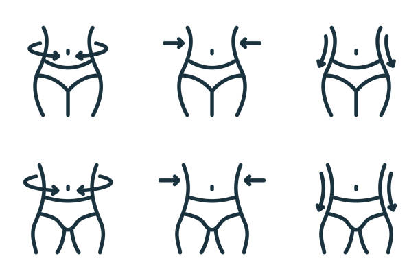 Slimming Waist. Woman and Man Loss Weight Line Icon. Shape Waistline Control Outline Icon. Set of Female and Male Body Slimming Linear Pictogram. Editable Stroke. Isolated Vector Illustration Slimming Waist. Woman and Man Loss Weight Line Icon. Shape Waistline Control Outline Icon. Set of Female and Male Body Slimming Linear Pictogram. Editable Stroke. Isolated Vector Illustration. slim woman body stock illustrations