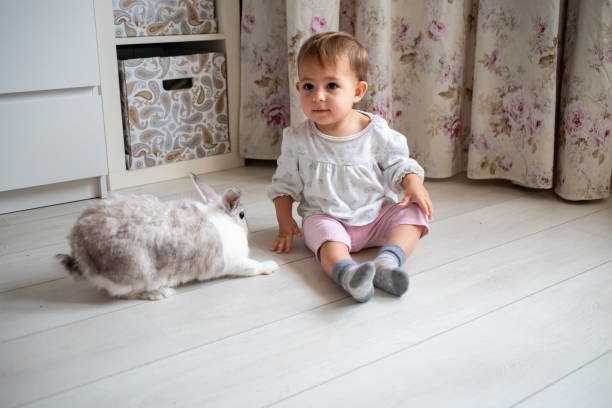 istock adorable baby playing with decorative rabbit at home 1339320210