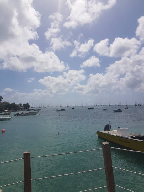 istock Martinique Sainte Anne 1339320357