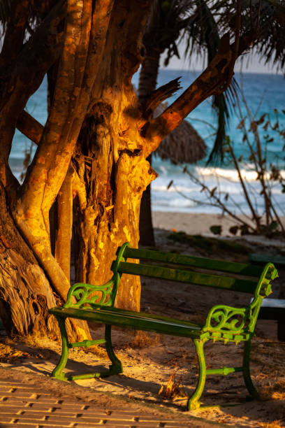 bench