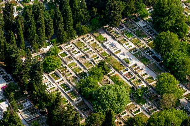 aerial shot of a muslim cemetery in istanbul - forest road nature birch tree imagens e fotografias de stock