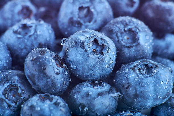 istock Close-up ripe blueberry with water drops background 1339324715