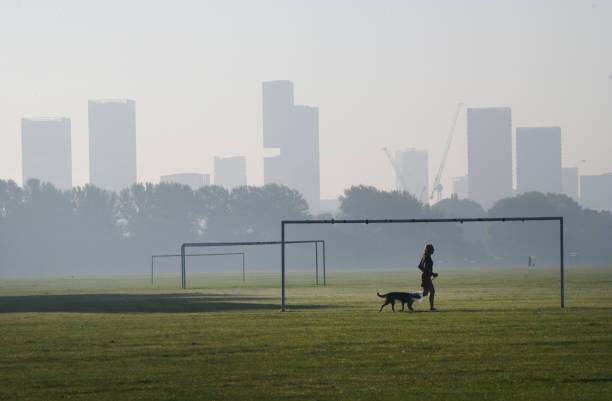 paseador de perros de londres - hackney fotografías e imágenes de stock