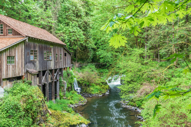 istock The historic Cedar Creek Grist Mill. 1339330629