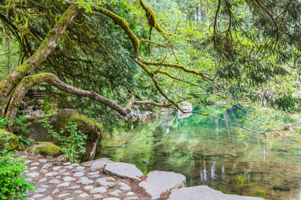 Reflections in the East Fork Lews River.