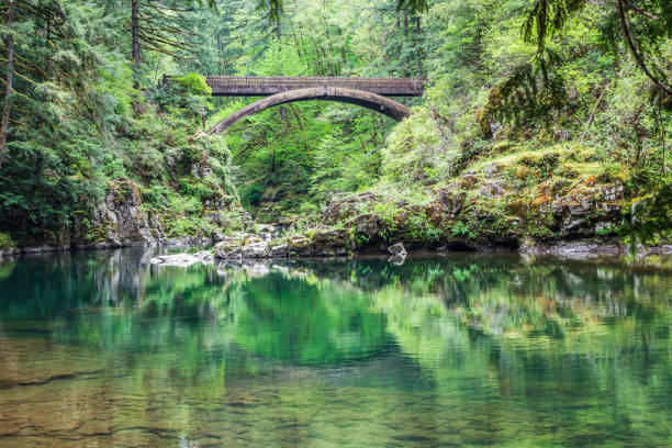 istock The Moulton Falls Bridge over the East Fork Lewis River. 1339330746