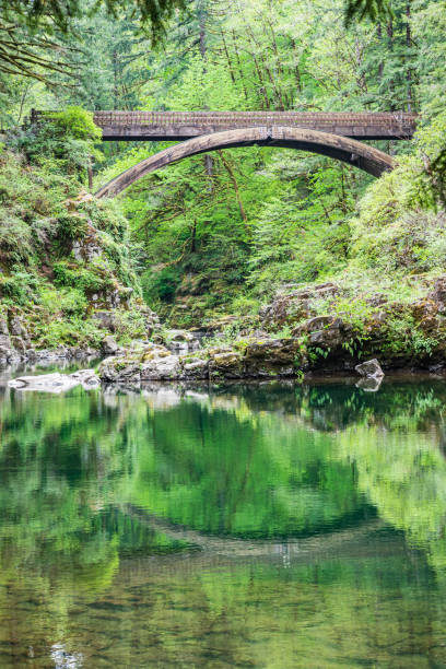 istock The Moulton Falls Bridge over the East Fork Lewis River. 1339330761