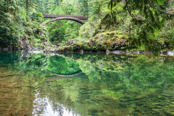 istock The Moulton Falls Bridge over the East Fork Lewis River. 1339330762