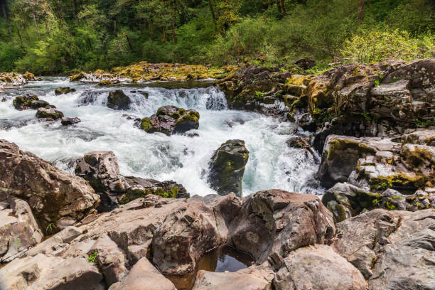 Moulton Falls on the East Fork Lewis River.