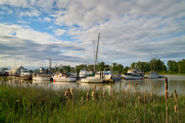 Commercial fishboats in the harbor of Steveston, British Columbia, Canada near Vancouver. Steveston is a small fishing village on the banks of the Fraser River.