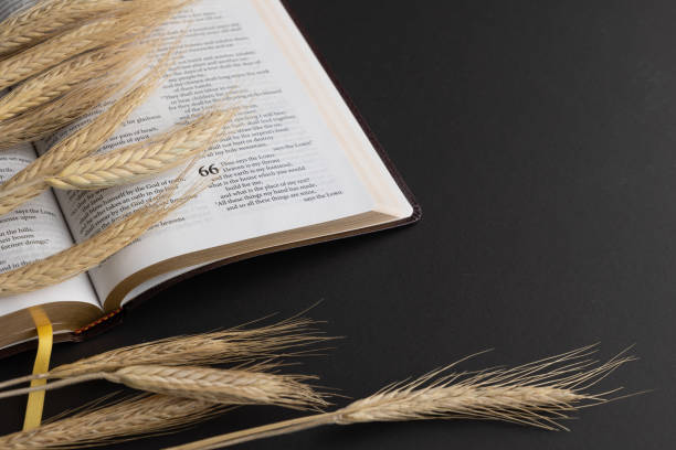 istock Wheat and bible on black 1339332525